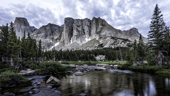 Shoshone National Forest
