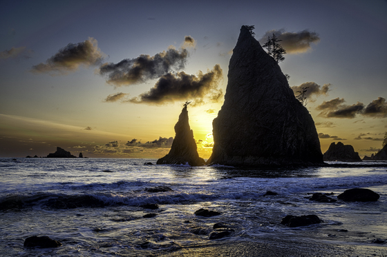Olympic National Park