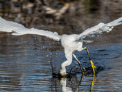 Everglades National Park