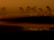 Chincoteague National Wildlife Refuge