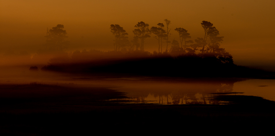 Chincoteague National Wildlife Refuge
