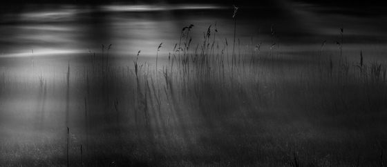 Chincoteague National Wildlife Refuge