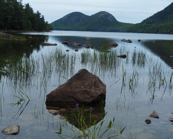 Acadia National Park