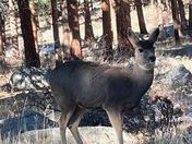 Rocky Mountain National Park