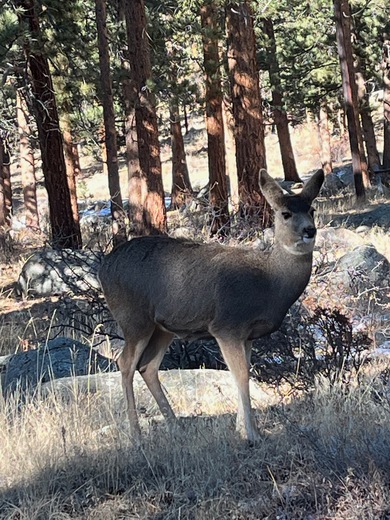Rocky Mountain National Park