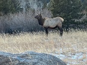 Rocky Mountain National Park