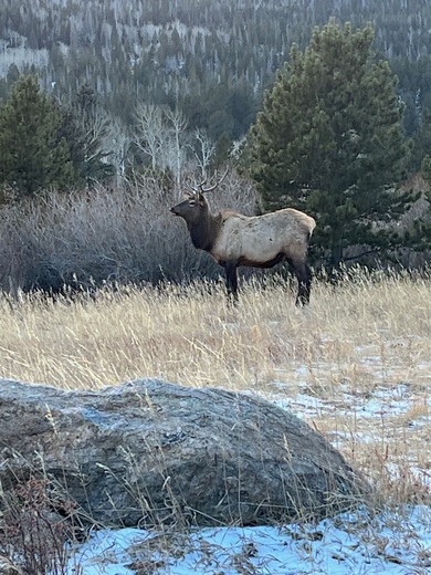 Rocky Mountain National Park