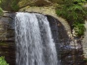 Pisgah National Forest  