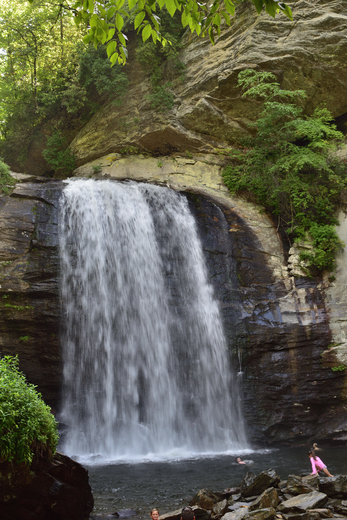 Pisgah National Forest  