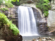 Pisgah National Forest  