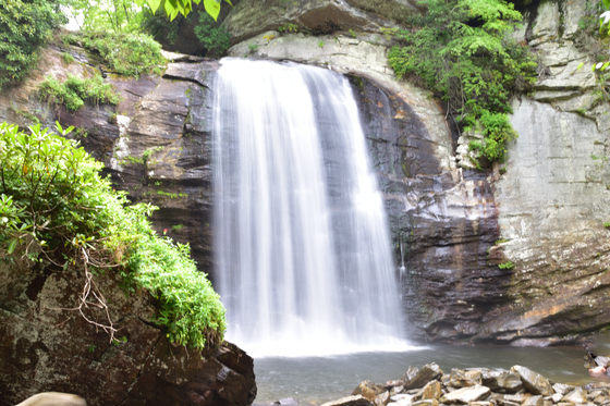 Pisgah National Forest  