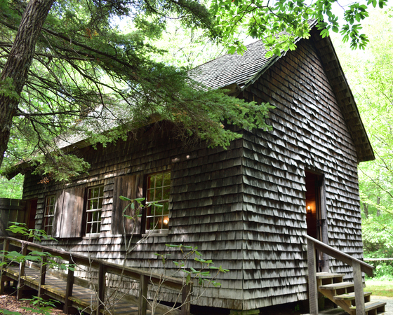 Pisgah National Forest  