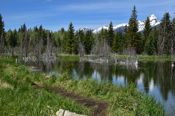 Grand Teton National Park 