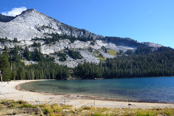 Yosemite National Park