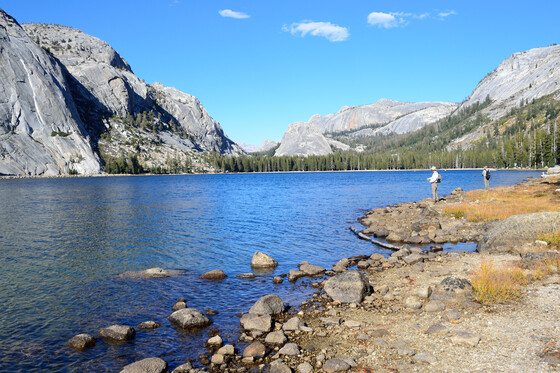 Yosemite National Park