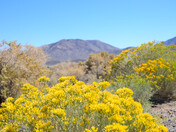 Death Valley National Park