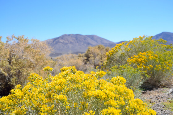 Death Valley National Park