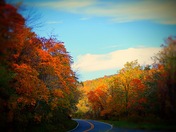 Shenandoah National Park 