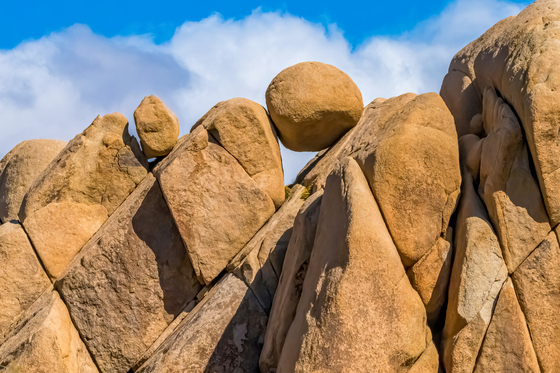 Joshua Tree National Park 