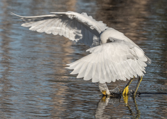 Everglades National Park