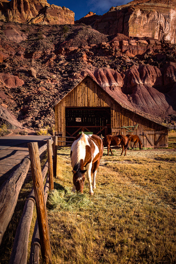Capitol Reef National Park