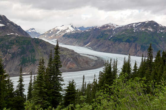 Tongass National Forest