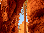 Bryce Canyon National Park