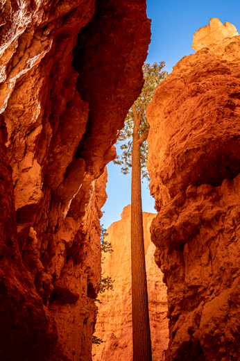 Bryce Canyon National Park