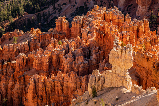 Bryce Canyon National Park