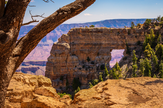 Grand Canyon National Park