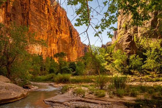 Zion National Park