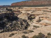 Natural Bridges National Monument