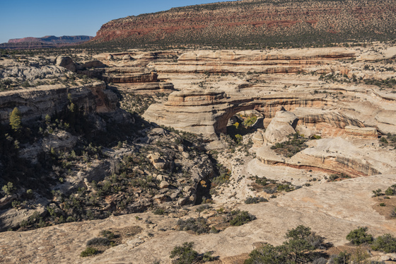 Natural Bridges National Monument
