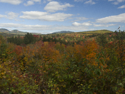 White Mountain National Forest