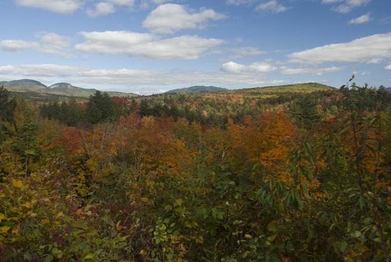 White Mountain National Forest