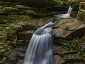 White Mountain National Forest
