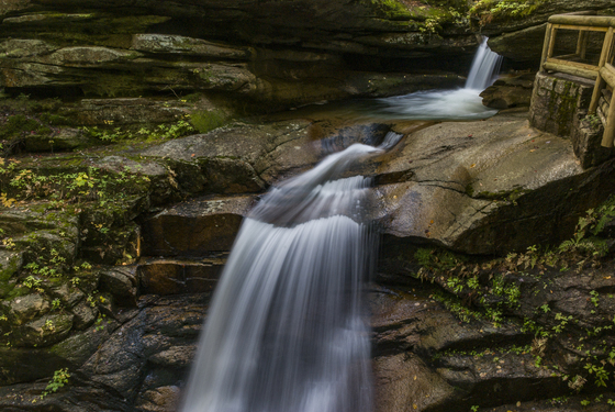 White Mountain National Forest