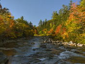White Mountain National Forest