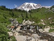 Mt. Rainier National Park
