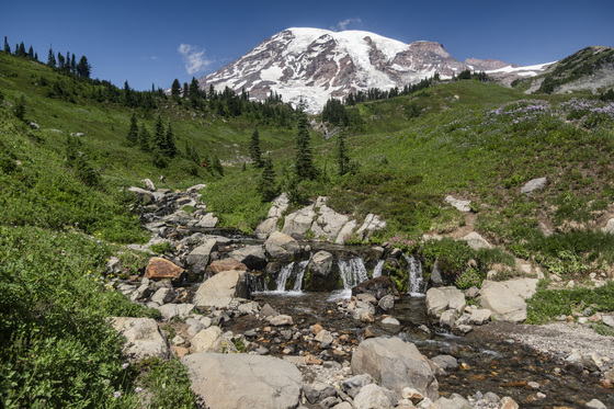 Mt. Rainier National Park