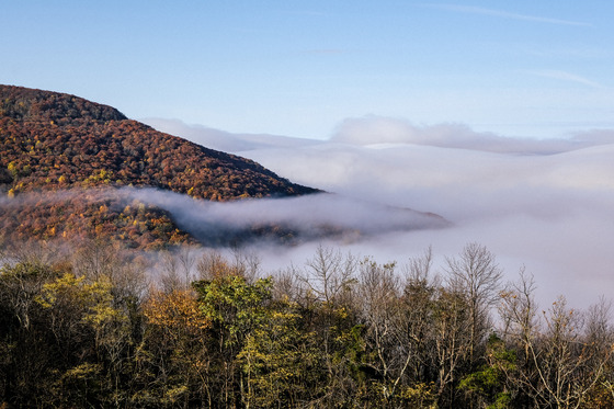 Shenandoah National Park