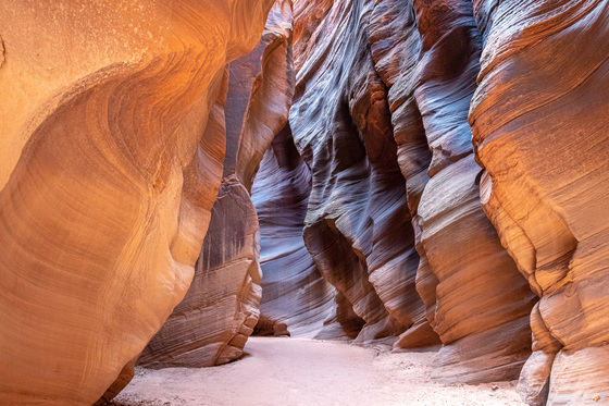Paria Canyon-Vermilion Cliffs Wilderness