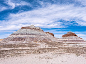 Petrified Forest National Park