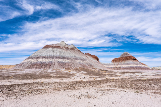 Petrified Forest National Park