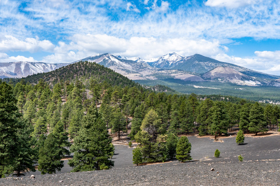Sunset Crater Volcano National Monument
