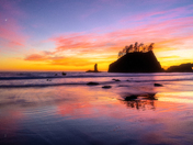 Olympic National Park