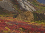 Denali National Park and Preserve