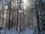 The calm after the first winter storm