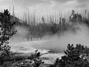 Yellowstone National Park 