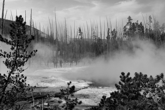 Yellowstone National Park 